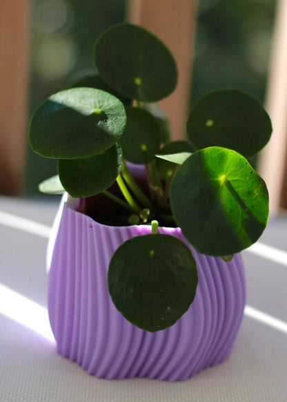 Cache-pot ONDRA - Lilas